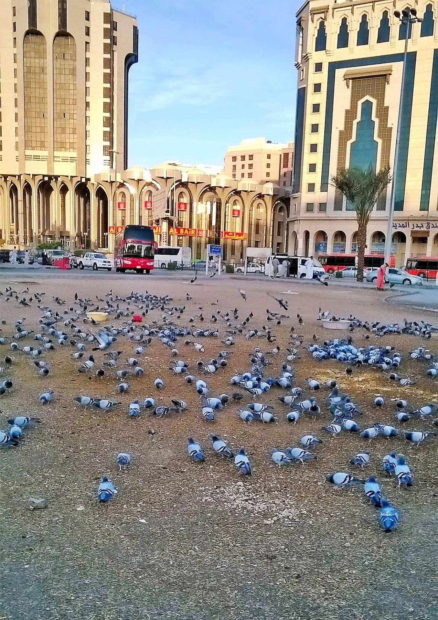 فندق بدر المدينة-8