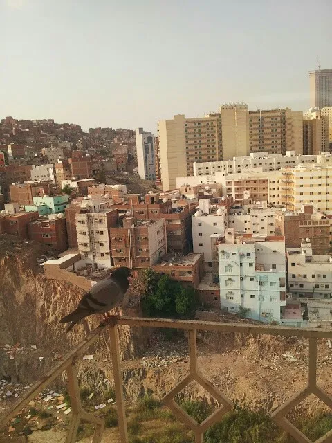 فندق كنزي الجوار-32